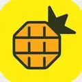 菠萝TV